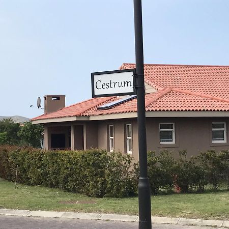 Whale Rock Gardens Apartment Плетенбърг Бей Екстериор снимка